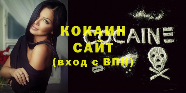 соль ск Лиски