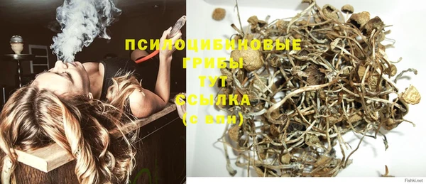 соль ск Лиски