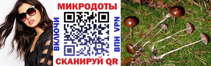 Псилоцибиновые грибы мухоморы  кракен вход  Мурино  наркошоп 
